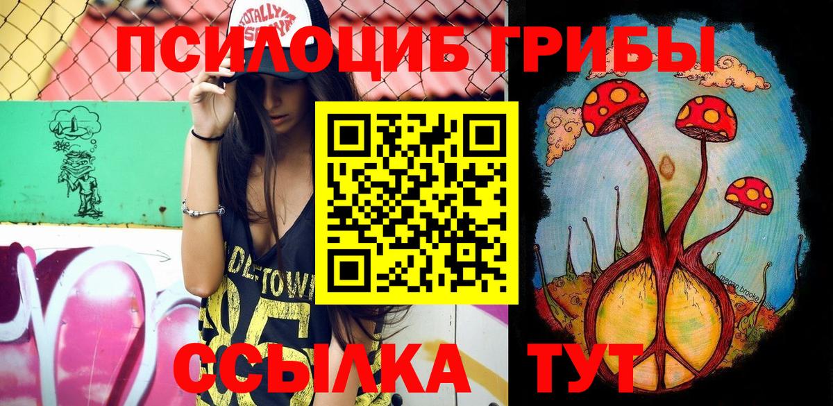 Сочи  Галлюциногенные грибы Psilocybe  Вход с VPN 